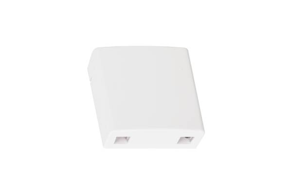 NMF-WO2-BLANK-CS-WT Корпус оптической настенной розетки NIKOMAX